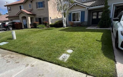 Photo of Ryan C.'s yard after getting lawn care in Slidell, LA