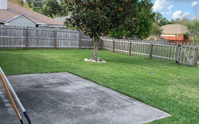 Photo of Gary P.'s yard after getting lawn care in Windsor, CA