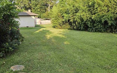 Photo of Gayle D.'s yard after getting lawn care in Liberty Hill, TX