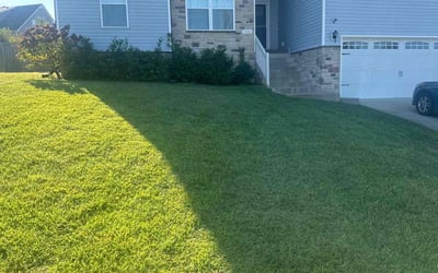 Photo of Lorraine B.'s yard after getting lawn care in Clarksville, TN