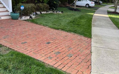 Photo of Anusha G.'s yard after getting lawn care in Brunswick, MD