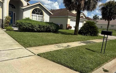 Photo of Michelle R.'s yard after getting lawn care in Cuyahoga Falls, OH