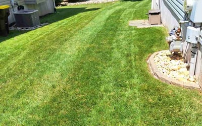 Photo of Elizabeth L.'s yard after getting lawn care in Schwenksville, PA