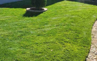 Photo of Jaden W.'s yard after getting lawn care in Colorado Springs, CO
