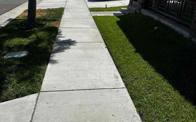 Photo of Chizoba M.'s yard after getting lawn care in Chino, CA