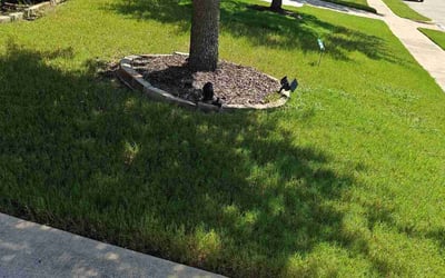 Photo of Larry U.'s yard after getting lawn care in Keller, TX
