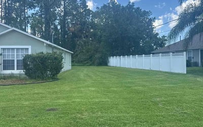 Photo of Jo H.'s yard after getting lawn care in Oakland Gardens, NY