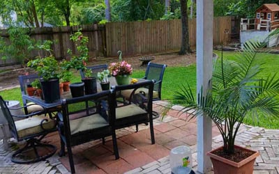 Photo of Bobbie H.'s yard after getting lawn care in Galveston, TX