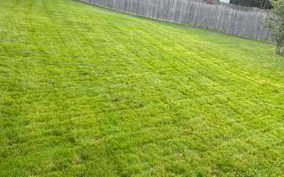 Photo of Kathleen B.'s yard after getting lawn care in Coventry, RI