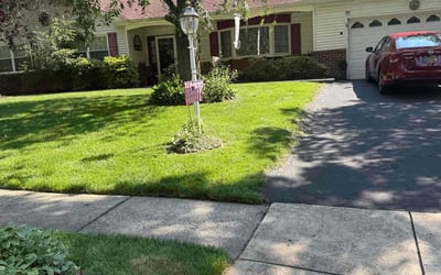Photo of Michele C.'s yard after getting lawn care in Rutherford, NJ
