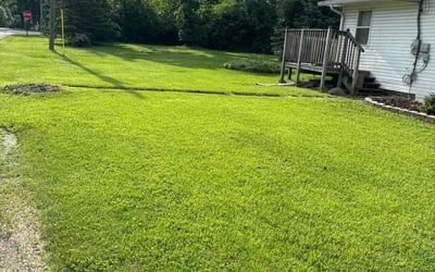 Photo of Canvyis H.'s yard after getting lawn care in Frankfort, IL