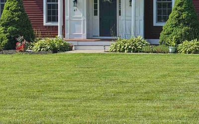 Photo of Elizabeth D.'s yard after getting lawn care in Southbridge, MA