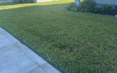 Photo of Charles F.'s yard after getting lawn care in Ruskin, FL