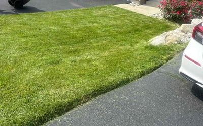 Photo of Jennifer S.'s yard after getting lawn care in Emmaus, PA