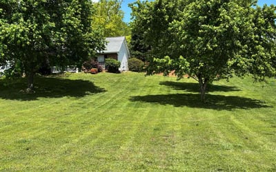 Photo of Roberta L.'s yard after getting lawn care in Loudon, TN