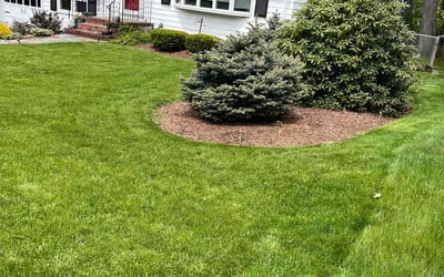 Photo of Eileen H.'s yard after getting lawn care in Lexington, MA