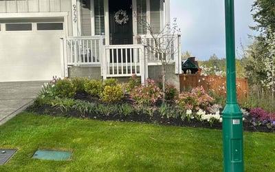 Photo of Jr S.'s yard after getting lawn care in Gig Harbor, WA