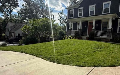 Photo of Maryann O.'s yard after getting lawn care in Appleton, WI