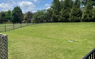 Photo of Chris F.'s yard after getting lawn care in Butler, PA
