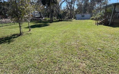 Photo of Clifford A.'s yard after getting lawn care in Brandon, FL