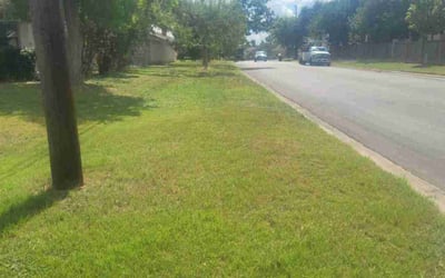 Photo of Tiana S.'s yard after getting lawn care in Riviera Beach, FL