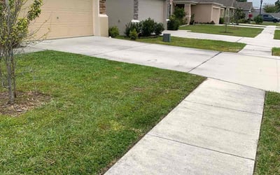 Photo of Clara M.'s yard after getting lawn care in Converse, TX