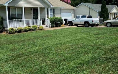 Photo of Carolyn H.'s yard after getting lawn care in Murfreesboro, TN