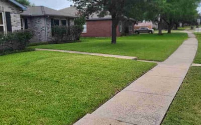 Photo of James V.'s yard after getting lawn care in Reading, MA