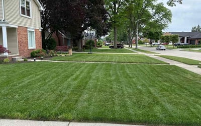 Photo of Adam H.'s yard after getting lawn care in Dearborn, MI