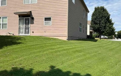 Photo of Jenny T.'s yard after getting lawn care in Kingston, NY