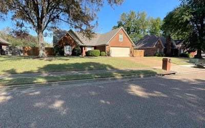 Photo of Jovita K.'s yard after getting lawn care in Jonesborough, TN