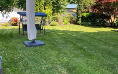 Photo of Prashanth M.'s yard after getting lawn care in Sammamish, WA