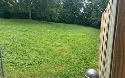 Photo of Joe B.'s yard after getting lawn care in Swartz Creek, MI
