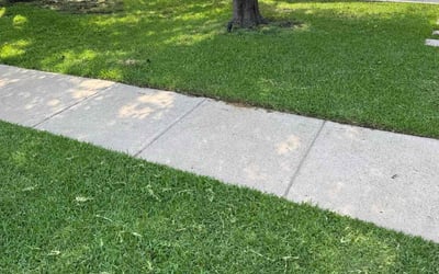 Photo of Tammy M.'s yard after getting lawn care in Chula Vista, CA