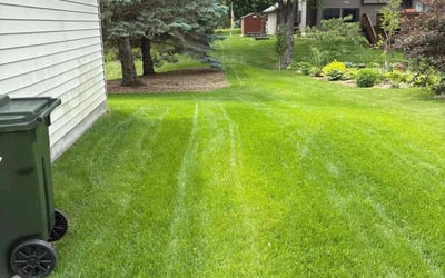 Photo of Eric D.'s yard after getting lawn care in Annandale, VA