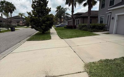 Photo of James A.'s yard after getting lawn care in Hemet, CA