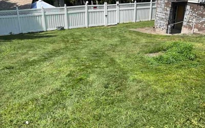 Photo of Tamaya P.'s yard after getting lawn care in Mount Holly, NJ