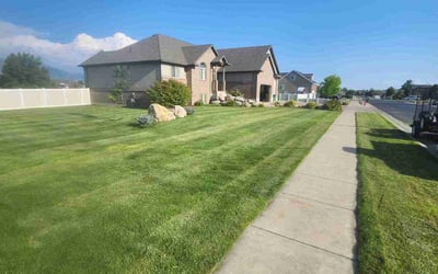 Photo of Boris F.'s yard after getting lawn care in Clinton, UT
