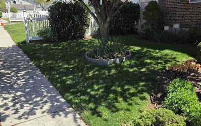 Photo of Thurman M.'s yard after getting lawn care in Valley Stream, NY