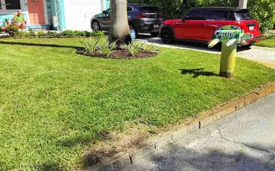 Photo of Lisa L.'s yard after getting lawn care in Dade City, FL