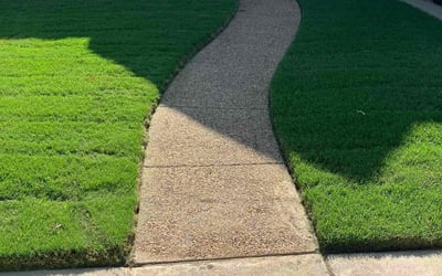 Photo of Janenne A.'s yard after getting lawn care in Baton Rouge, LA