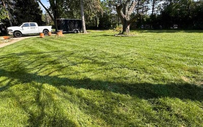 Photo of Deborah D.'s yard after getting lawn care in Wixom, MI