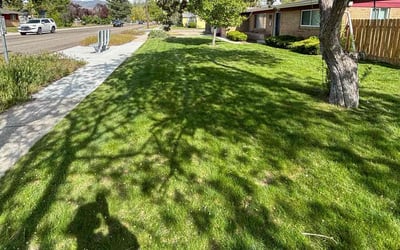 Photo of Deborah M.'s yard after getting lawn care in Boise City, ID
