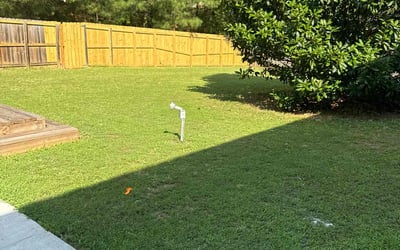 Photo of Brianna G.'s yard after getting lawn care in Bayonne, NJ