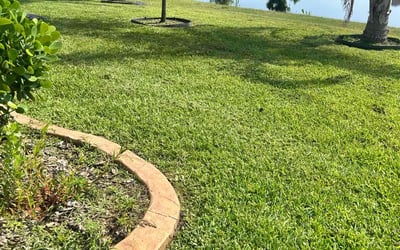 Photo of Ryan J.'s yard after getting lawn care in Versailles, KY