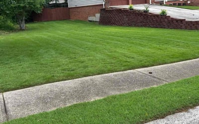 Photo of Brooke R.'s yard after getting lawn care in Acworth, GA