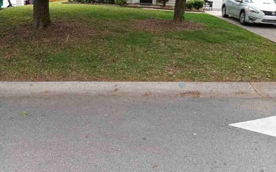 Photo of Monica E.'s yard after getting lawn care in San Ramon, CA