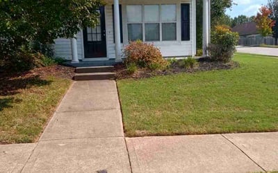 Photo of Jason P.'s yard after getting lawn care in Stockbridge, GA
