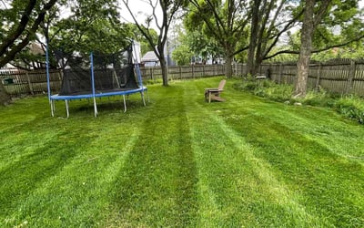 Photo of Cianna M.'s yard after getting lawn care in Willingboro, NJ