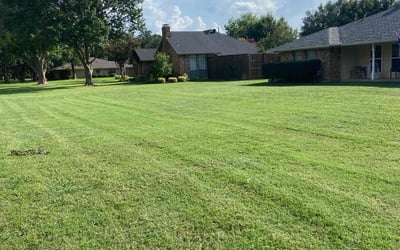 Photo of Shante R.'s yard after getting lawn care in Rock Island, IL